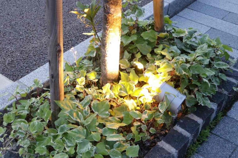 庭づくり初心者必見!植え込みと植栽の意味と違いをわかりやすく解説 | 知恵の羅針盤